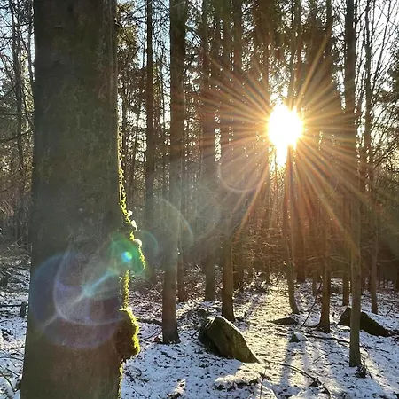 Am Wald