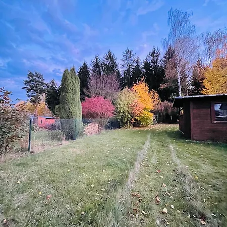 Am Wald Apartment