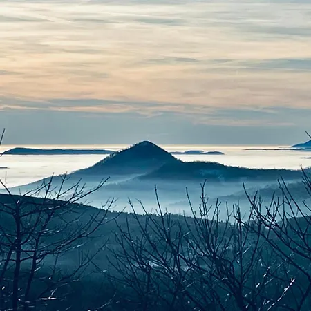 Am Wald غروسشوناو