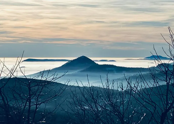 Am Wald غروسشوناو