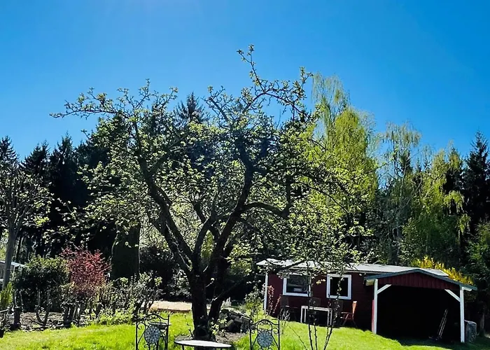 Am Wald غروسشوناو